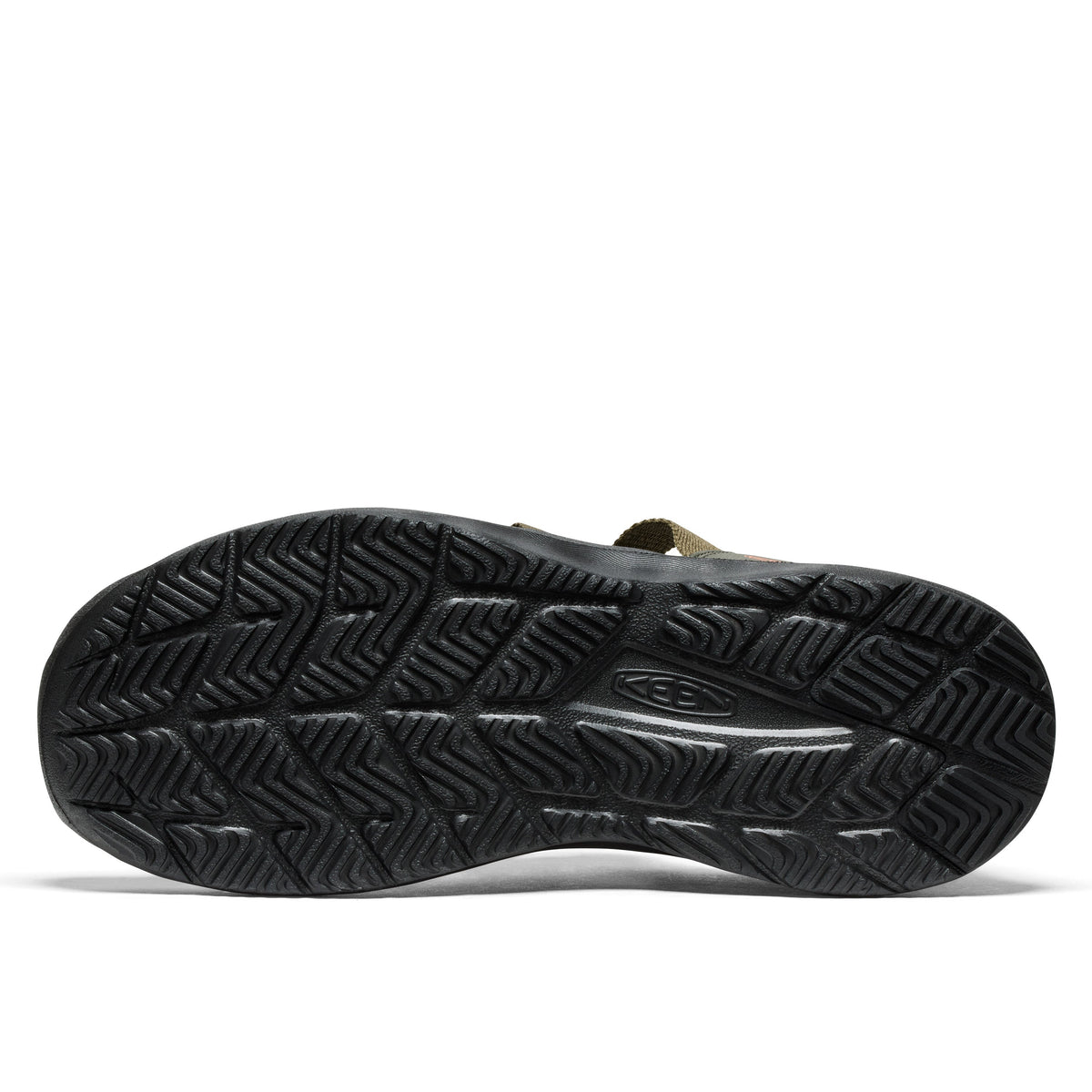 Forest Night Dark Olive