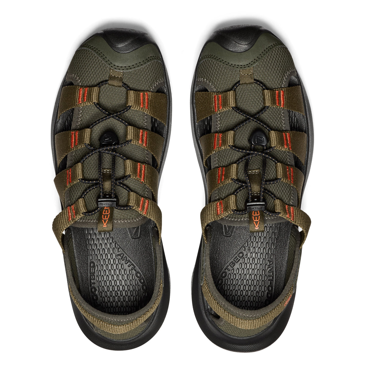 Forest Night Dark Olive