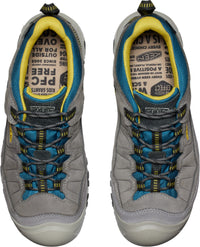 Men's Targhee IV Waterproof Steel Grey Antique Moss