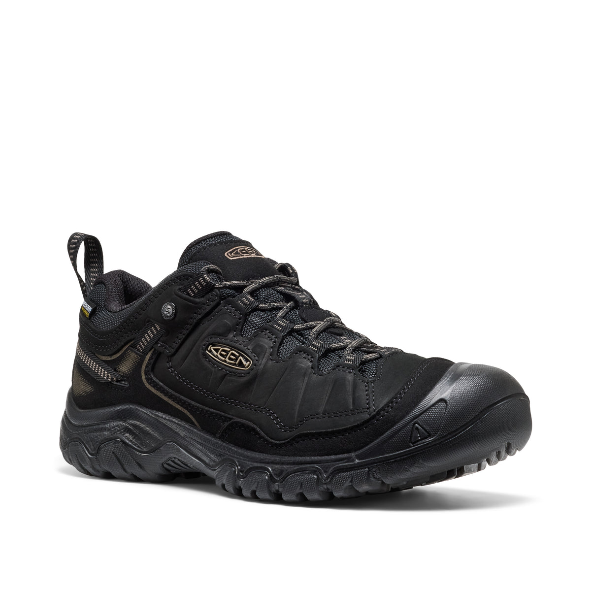 Men's Targhee IV Waterproof Hiking Shoe Triple Black