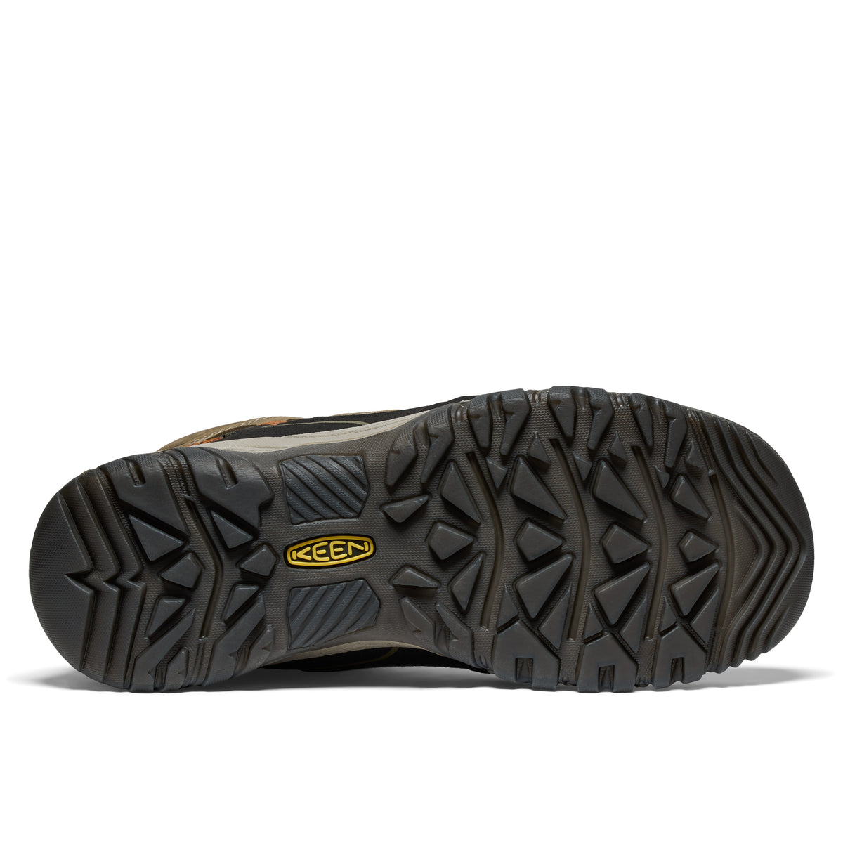 Men's Targhee IV Waterproof Hiking Boot Sea Turtle Roasted Pecan