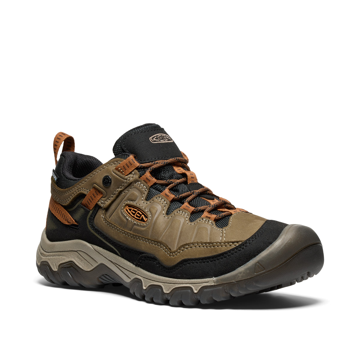 Men's Targhee IV Waterproof Hiking Shoe Sea Turtle Roasted Pecan