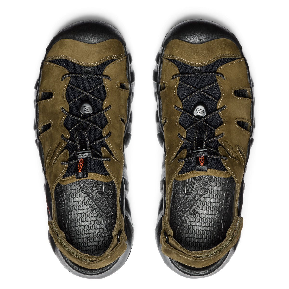 Dark Olive Black