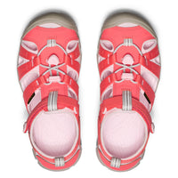Dubarry Pink-A-Boo