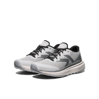 Alloy Steel Grey