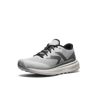 Alloy Steel Grey